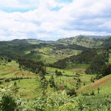 story2 Ethical coffee bean supplier