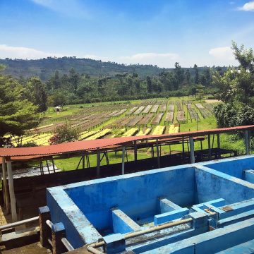 2a Ethical coffee bean supplier