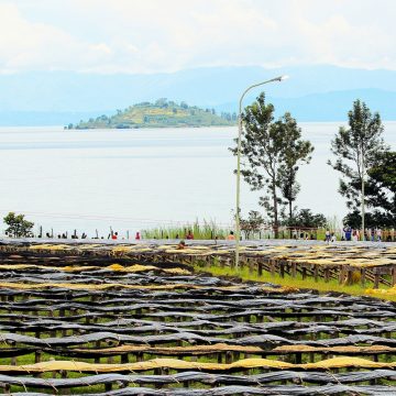 9. Ethical coffee bean supplier